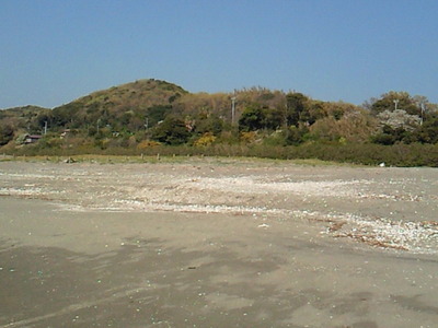 海浜公園